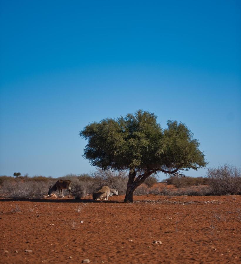 Hardap Kalahari Anib Campsite מראה חיצוני תמונה